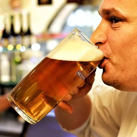 Inn Krajinska 27 Ceske Budejovice