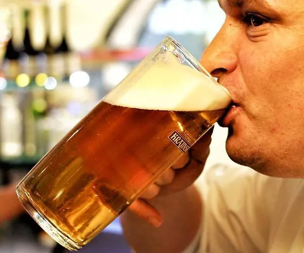 여관 Krajinska 27 체스케부데요비체